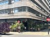 IMG_7164.jpeg