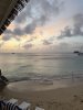 IMG_7443.jpeg