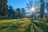 DSC03217.jpg