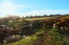 DSC03227.jpg