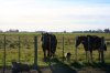 DSC03243.jpg