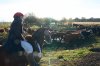 DSC03228.jpg