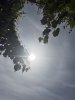 IMG_0623.jpeg