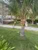 IMG_0402.jpeg