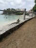IMG_7453.jpeg