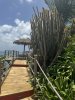 IMG_0508.jpeg