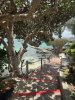 IMG_0507.jpeg