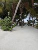 IMG_7528.jpeg