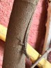 IMG_7362.jpeg