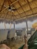 IMG_7401.jpeg