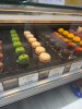 IMG_7554.jpeg