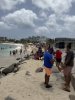 IMG_7633.jpeg