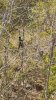 IMG_7862.jpeg