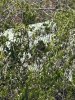 IMG_7819.jpeg