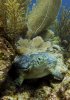 IMG_7511.jpeg