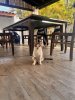 IMG_7519.jpeg