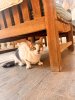 IMG_7517.jpeg