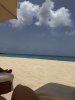 IMG_7874.jpeg