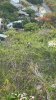 IMG_7916.jpeg