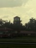 IMG_7982.jpeg