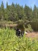 IMG_0735.jpeg