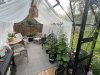 IMG_3996.jpeg