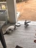 IMG_7648.jpeg