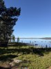 IMG_0780.jpeg