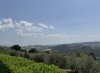 IMG_0653.jpeg