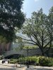IMG_7878.jpeg