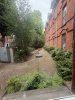 IMG_0843.jpeg