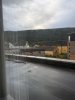 IMG_0921.jpeg