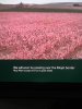 IMG_2531.jpeg