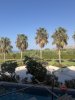 IMG_0986.jpeg