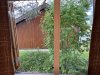 IMG_4418.jpeg