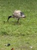 IMG_5892.jpeg