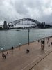 IMG_5908.jpeg
