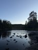 IMG_1041.jpeg