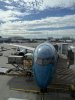 IMG_5945.jpeg