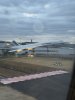 IMG_5982.jpeg
