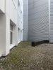 IMG_5552.jpeg