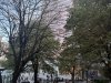 IMG_8362.jpeg