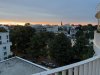 IMG_2893.JPG