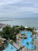 IMG_4804.jpeg