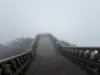 IMG_5387.jpeg