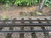 IMG_5411.jpeg