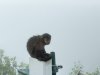 IMG_5361.jpeg