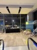 IMG_1231.jpeg