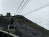 IMG_5445.jpeg