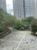 IMG_4823.jpeg